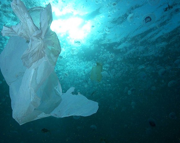 July 3rd International Plastic Bag Free Day – Spain still has some way to go