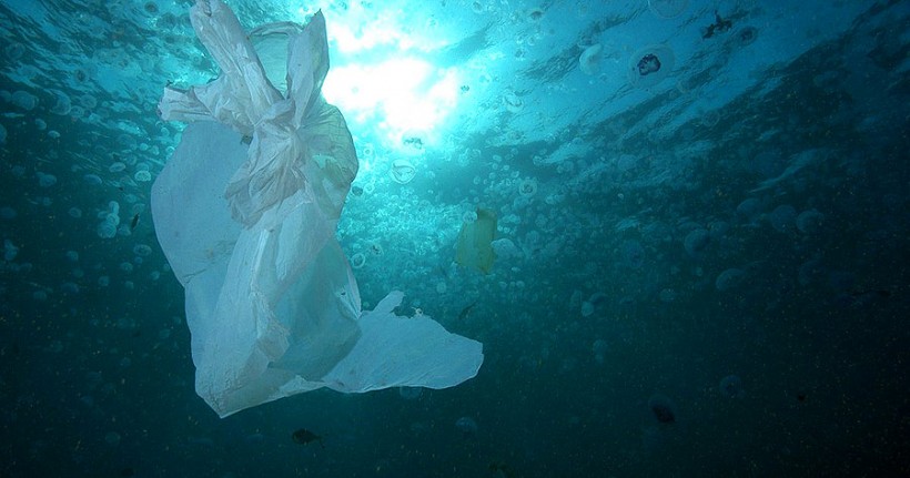 July 3rd International Plastic Bag Free Day – Spain still has some way to go